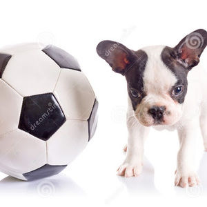 Meet your Posher, Lucy